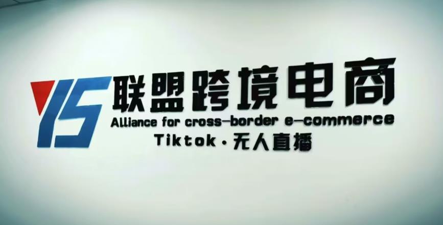 YS联盟·Tiktok无人直播，不出镜不剪辑不拍摄不发货无售后的跨境短视频躺赚玩法-问小徐资源库