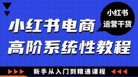 小红书电商高阶系统教程，新手从入门到精通系统课-问小徐资源库