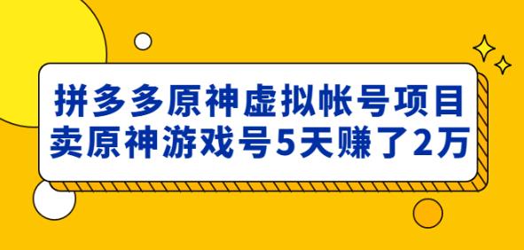 外面卖2980的拼多多原神虚拟帐号项目：卖原神游戏号5天赚了2万-问小徐资源库