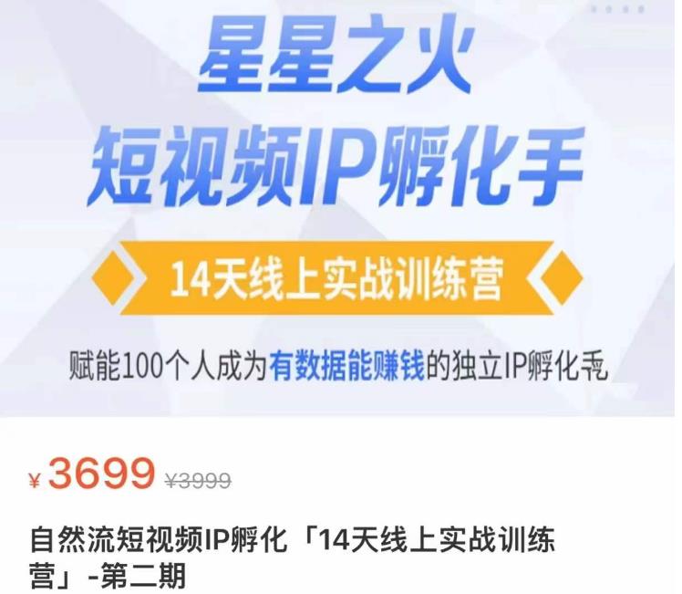 瑶瑶·自然流短视频IP孵化第二期，14天线上实战训练营，赋能100个人成为有数据能赚钱的独立IP孵化手-问小徐资源库