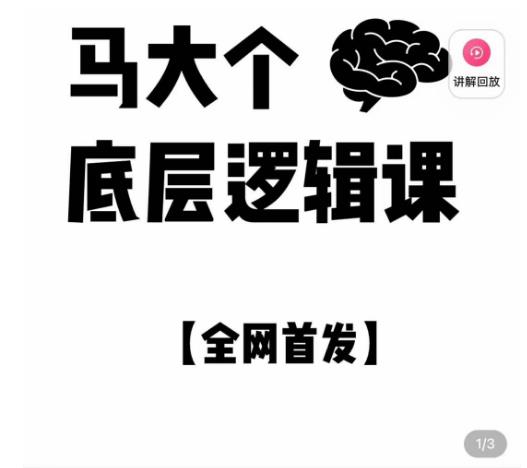 马大个·底层逻辑课，51节底层逻辑智慧课-价值1980元-问小徐资源库