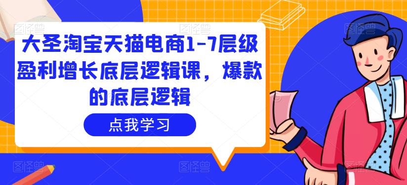 大圣淘宝天猫电商1-7层级盈利增长底层逻辑课，爆款的底层逻辑-问小徐资源库