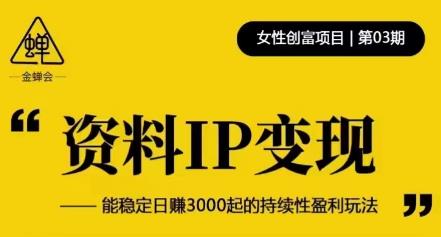 资料IP变现，能稳定日赚3000起的持续性盈利玩法-问小徐资源库