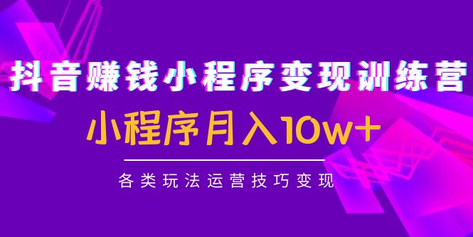 抖音赚钱小程序变现训练营：小程序月入10w+各类玩法运营技巧变现-问小徐资源库