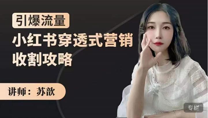 苏歆：小红书穿透式营销收割攻略，引爆流量，助你玩转小红书-问小徐资源库