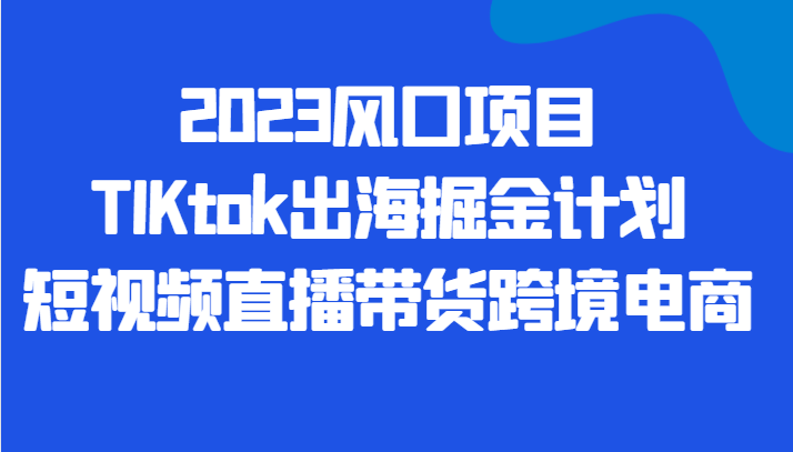 2023风口项目TIKtok出海掘金计划短视频直播带货跨境电商-问小徐资源库
