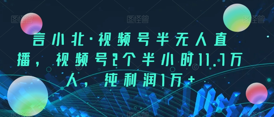 AI美女项目，利用美女号的图片视频获取收益【揭秘】-问小徐资源库