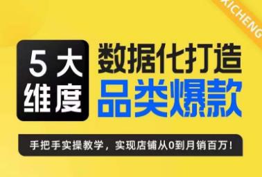 5大维度，数据化打造电商品类爆款特训营，一套高效运营爆款方法论-问小徐资源库