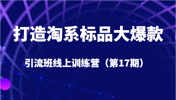 打造淘系标品大爆款引流班线上训练营5天直播授课+1个月答疑-问小徐资源库