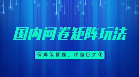 保姆级教程，国内问卷矩阵玩法，轻松赚收益-问小徐资源库
