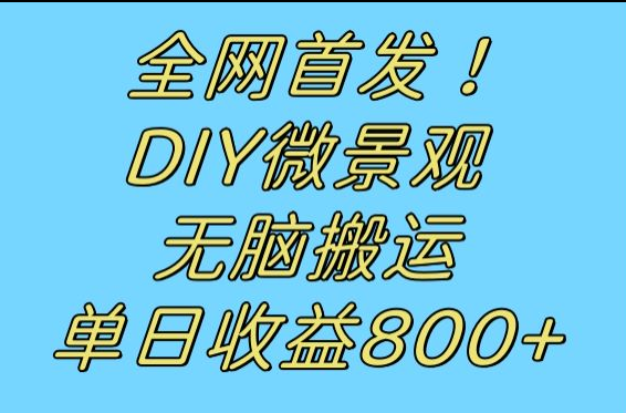 全网首发冷门赛道！DIY微景观，无脑搬运视频，日收益800+-问小徐资源库