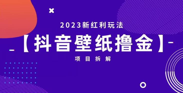 抖音壁纸小程序创作者撸金项目，2023新红利玩法【项目拆解】-问小徐资源库
