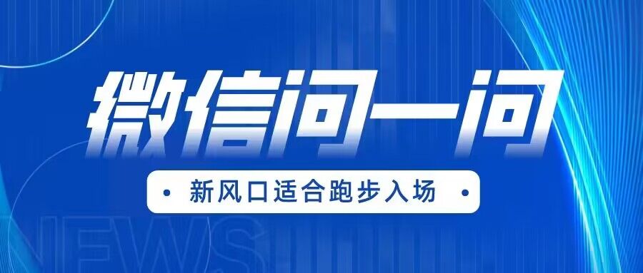全网首发微信问一问新风口变现项目（价值1999元）-问小徐资源库