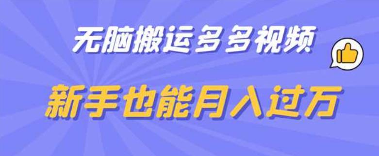 无脑搬运多多视频，新手也能月入过万【揭秘】-问小徐资源库