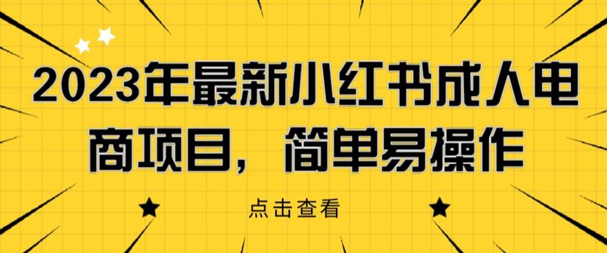2023年最新小红书成人电商项目，简单易操作【详细教程】【揭秘】-问小徐资源库