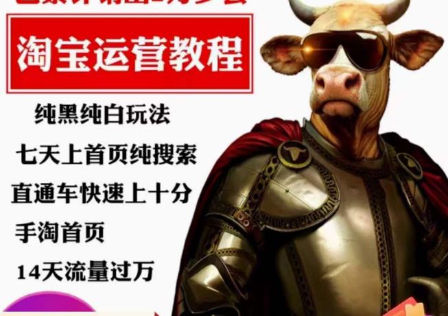 猫老师·淘系算法逆向解密，​纯黑纯白玩法，七天上首页纯搜索，手淘首页14天流量过万-问小徐资源库
