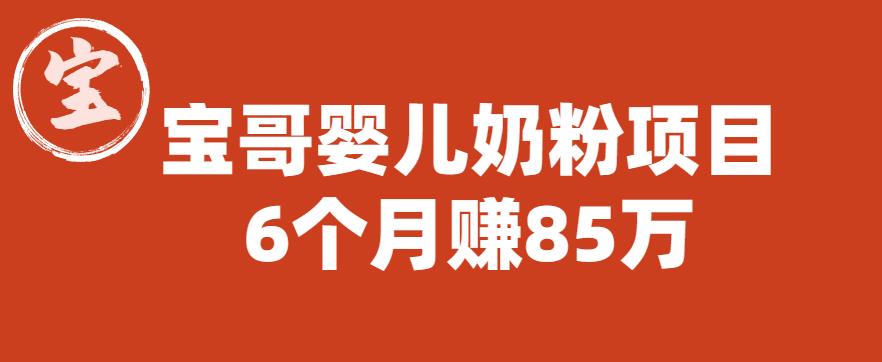 宝哥婴儿奶粉项目，6个月赚85w【图文非视频】【揭秘】-问小徐资源库