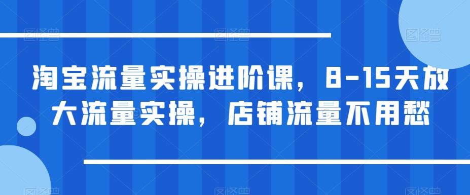 淘宝流量实操进阶课，8-15天放大流量实操，店铺流量不用愁-问小徐资源库