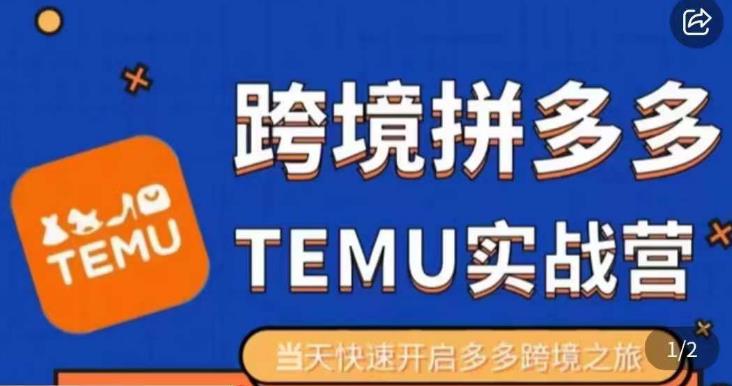 大鹏出海·拼多多跨境temu运营指导，开店注册+选品+核价上架，日出千单实战课-问小徐资源库
