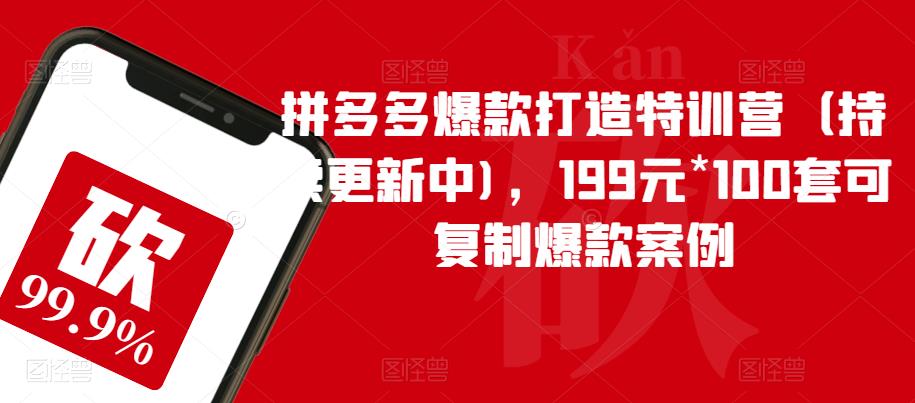 拼多多爆款打造特训营（持续更新中)，199元*100套可复制爆款案例-问小徐资源库