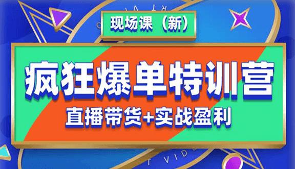 抖音短视频疯狂爆单特训营现场课（新）直播带货+实战案例-问小徐资源库