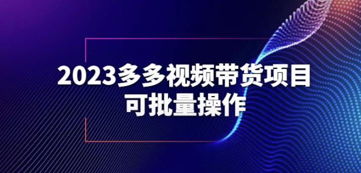 2023多多视频带货项目，可批量操作【保姆级教学】【揭秘】-问小徐资源库