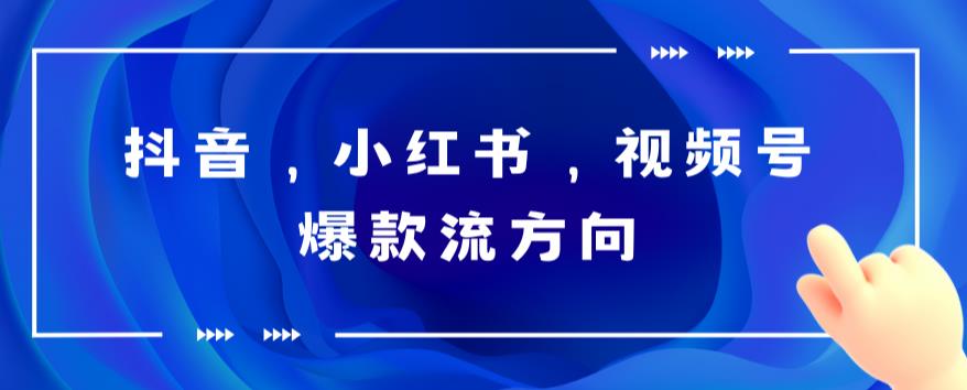 抖音，小红书，视频号爆款流视频制作，简单制作掌握流量密码-问小徐资源库