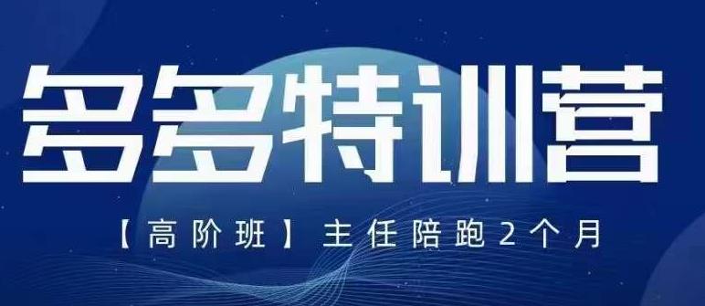 纪主任·5月最新多多特训营高阶班，玩法落地实操，多多全掌握-问小徐资源库
