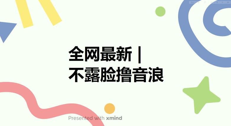 全网最新不露脸撸音浪，跑通自动化成交闭环，实现出单+收徒收益最大化【揭秘】-问小徐资源库