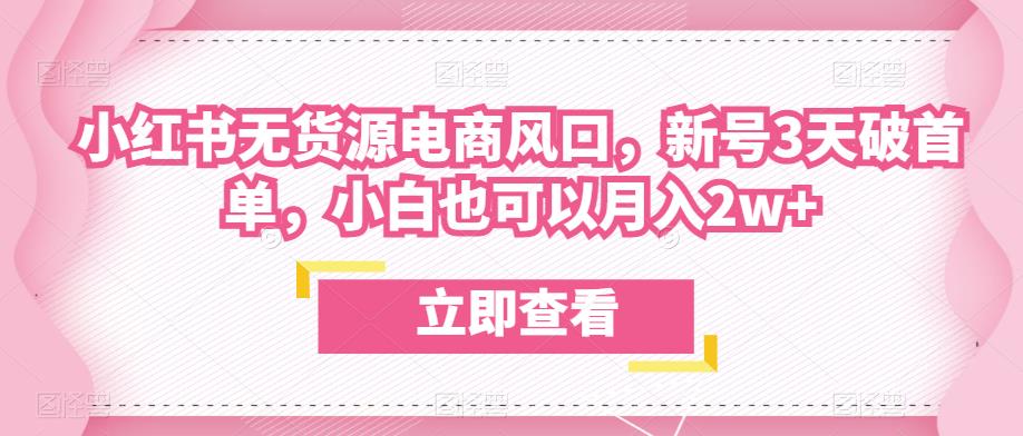 众狼电商余文小红书无货源电商风口，新号3天破首单，小白也可以月入2w+-问小徐资源库