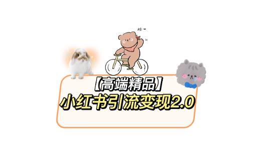 小红书最新引流变现教程，全网最新最详细的视频教程以及素材-问小徐资源库