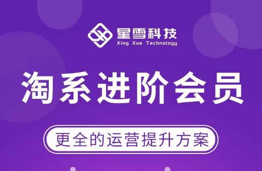星雪·淘系进阶课程，快速提升突破技能流量瓶颈必备（更新2023年5月）-问小徐资源库