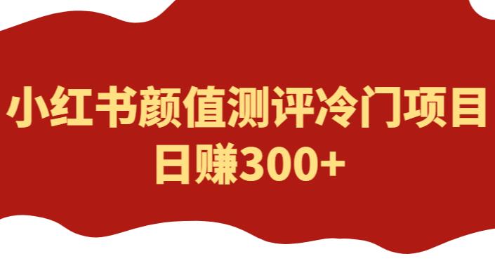 外面1980的项目，小红书颜值测评冷门项目，日赚300+【揭秘】-问小徐资源库