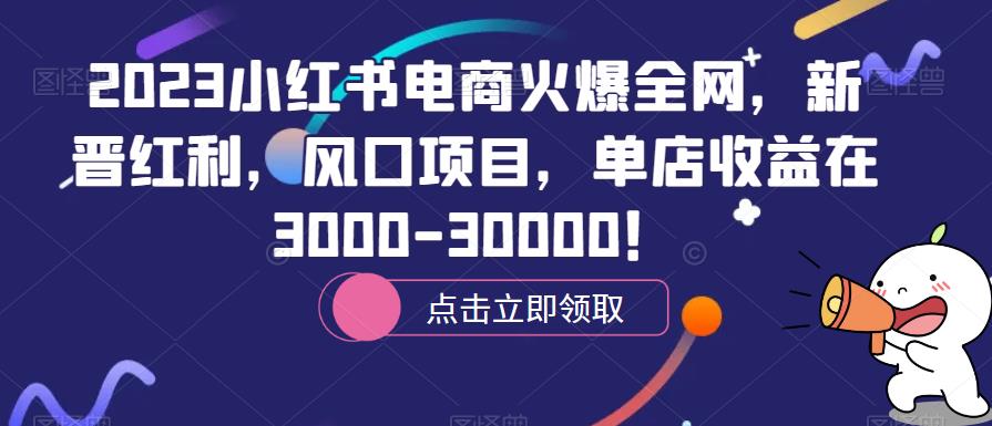2023小红书电商火爆全网，新晋红利，风口项目，单店收益在3000-30000！-问小徐资源库