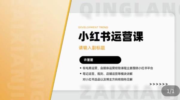 许筐筺·小红书运营课，​笔记运营、规则、店铺运营等模块讲解，学会自己独立运营小红书账号-问小徐资源库