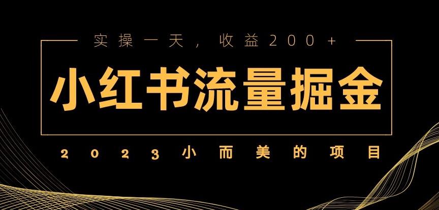 2023小而美的项目，小红书流量掘金，实操一天，收益200+【揭秘】-问小徐资源库