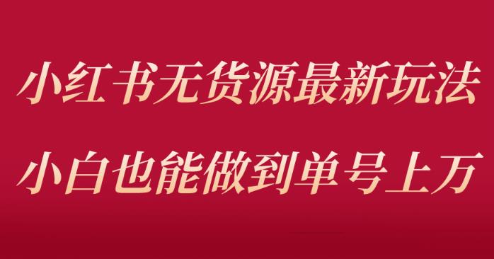 小红书无货源最新螺旋起号玩法，电商小白也能做到单号上万（价值3980元）-问小徐资源库