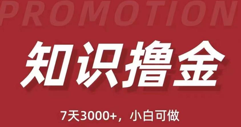 抖音知识撸金项目：简单粗暴日入1000+执行力强当天见收益(教程+资料)-问小徐资源库