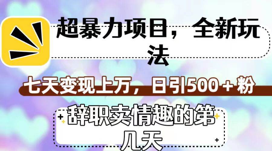 超暴利项目，全新玩法（辞职卖情趣的第几天），七天变现上万，日引500+粉-问小徐资源库